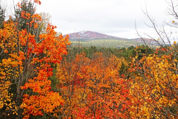 Silver Peak I by Deb Oppermann